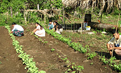 Student farming