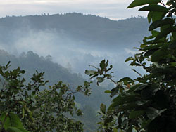 overlooking Blue Creek Village